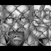 Steve Austin