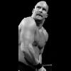 Steve Austin