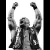 Steve Austin