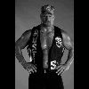 Steve Austin