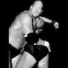 Steve Austin